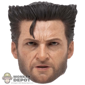 Head: Hot Toys Wolverine