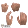 Hands: Hot Toys Hand Set w/ Hair Detail