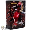 Display Box: Hot Toys Ladypool (Empty Box)