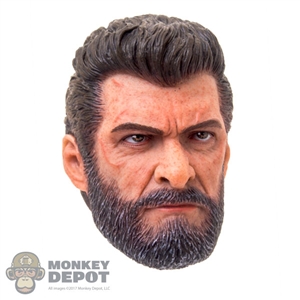 Head: OneToys Steel Wolf