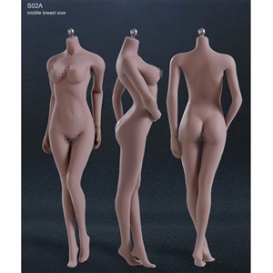 Boxed Figure: TBLeague Seamless Body in Suntan/Middle Breast (PL-MB2015S02A)