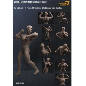 Boxed Figure: TBLeague Male Seamless Body in Stainless Steel Skeleton (PL2015-30)