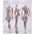 Boxed Figure: TBLeague Seamless Body in Pale/Middle Breast (PL-MB2015S01A)