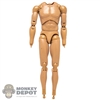 Figure: Present Toys Mens Base Nude Body
