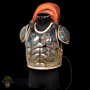 Armor: Premier Toys Mens Transparent Body Armor w/Medals + Arm  Guards