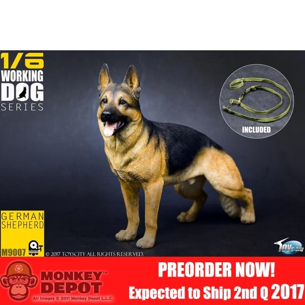 PREORDER Dog: Toys City Working Dog Series - German Shepherd (TC-M9007)