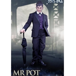 Boxed Figure: Toys Era The Mr Pot (TE-019)