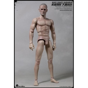 Boxed Figure: World Box 1/6 Articulated Male Body w/Head (WB-AT003)
