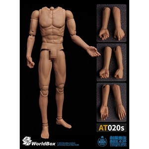 World Box One-Piece Forearm Body (WB-AT020S)