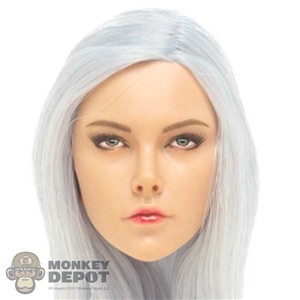 Head: YM Toys Silver Hair Assassin