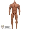 Figure: YRT AA Tall Muscle Body w/Textured Upper Body and Pegs