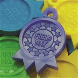 Field Day Awards - Field Day Ribbon