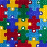 Puzzle Piece Student Award