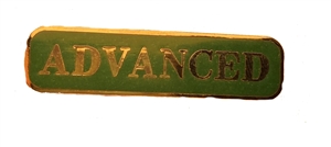 Silver & Green Advanced Award  Bar