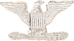 Silver Col Eagles  (Pair of 2)