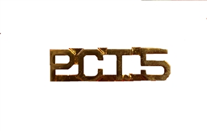 P.C.T.5 Collar Pins (Set of 2)