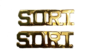 S.O.R.T Award Pin