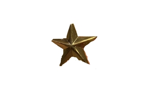 Single Star Award Bar