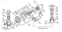 Pentair Motor  3 4FE 1AE sq flg 355391S