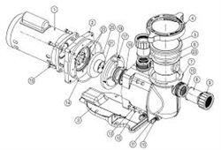 Pentair Motor  1F 11 2A std sq flg 2 sp 230 only