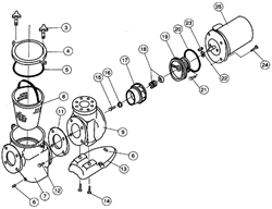 Pentair Motor sub assy CMK100