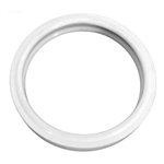 Aqualight Silicone White Gasket  Pentair