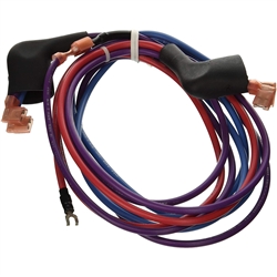 Hayward Electronic Wiring Harness