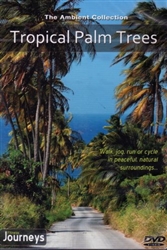 Tropical Palm Trees Virtual Walk Treadmill or Elliptical Workout - The Ambient Collection