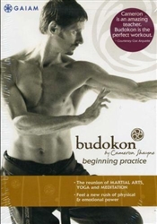 Budokon Beginning Practice - Cameron Shayne
