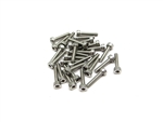 Gear Head RC 2-56 x 5/16 SS Socket Head Screws (30)