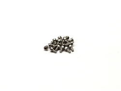 Gear Head RC M1.6 x 3 mm SS Socket Head Screws (20)