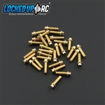 Locked Up RC 1-64 x .25 Scale Hex Bolts (30) Brass Plated (LOC-061)