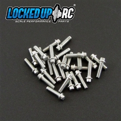 Locked Up RC 1-64 x .25 Scale Hex Bolts (30) SS (LOC-029)