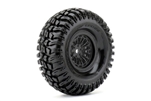 ROAPEX 1.9" Cross Crawler Tires Mounted on Black Wheels (2)