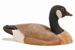Parker's Canada Goose Kit with UVision