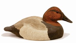 Parker's Canvasback Kit with UVision