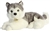 Realistic Stuffed Siberian Husky 14 Inch Miyoni Plush Dog by Aurora