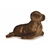 Plush California Sea Lion Mini Flopsie by Aurora