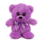 Purple Teddy Bear 6 Inch Rainbow Brights Bear by First and Main