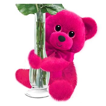 Hot Pink Huggums Plush Teddy Bear by First and Main