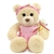 Tillie Twinkletoes the Plush Ballerina Teddy Bear by First and Main