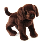 Cocoa the Plush Chocolate Lab Puppy by Douglas