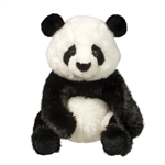 Paya the Sitting Plush Panda Bear by Douglas