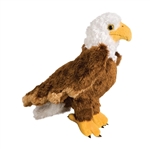 Colbert the Stuffed Bald Eagle by Douglas