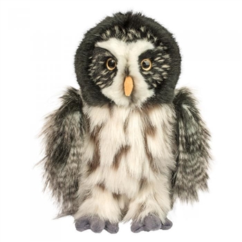 Darius the Stuffed Great Gray Owl by Douglas