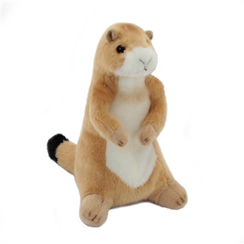 Digger the Little Plush Prairie Dog by Douglas