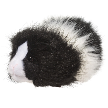 Angora the Little Plush Black and White Guinea Pig by Douglas