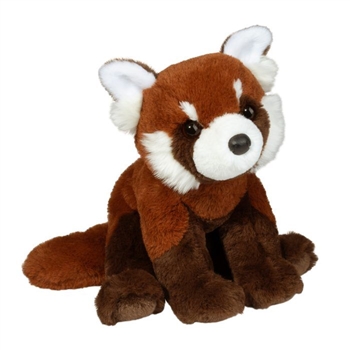 Soft Kyrie the 15 Inch Plush Red Panda by Douglas