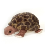 Small Plush Tortoise by Fiesta