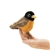 Robin Finger Puppet by Folkmanis Puppets